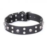 Artisan Dog Collar FDT "Mystic Skulls" with Round Studs, Leather