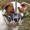 Bestseller! Wire Dog Muzzle for English Staffy, Basket Design