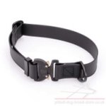 Biothane Dog Collar with Cobra Buckle for Staffy