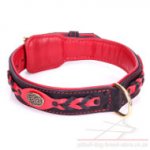 Thick Pitbull Dog Collar "Heavy Fire" of Black and Red Leather