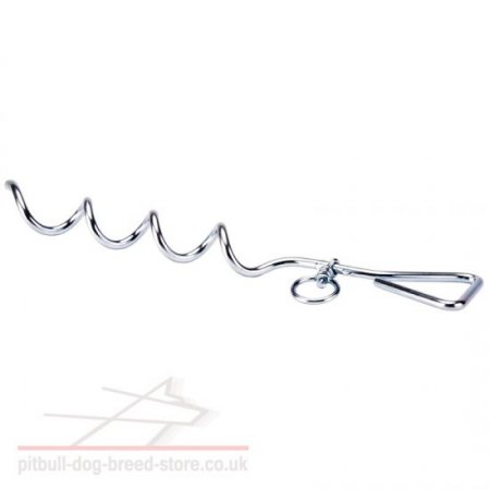 Spiral Stake Dog Tie Out
