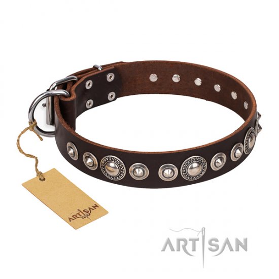"Step and Sparkle" FDT Artisan Cool Dog Collar of Brown Leather