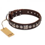 "Pierian spring" FDT Artisan Soft Dog Collar of Brown Leather