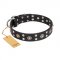 "Refined Essence" FDT Artisan Pitbull Collar of Black Leather