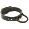 Bestseller! Leather Agitation Dog Collar with Handle for Pitbull