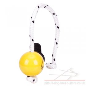 Top-Matic Fun Ball SOFT with Multi Power-Clip for Small Staffy