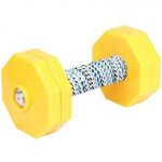 Dog Obedience Dumbbell with 4 Yellow Plastic Weight Plates, 1 Kg