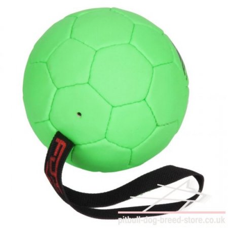 dog ball with handle