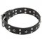 Designer Dog Collar with Pyramids and Stars