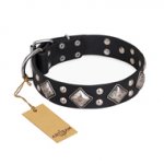 "Smart Geometry" FDT Artisan Wide Leather Dog Collar in Black