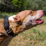 Leather Dog Collar with 2 Rows of Spikes for Pitbull & Stafford