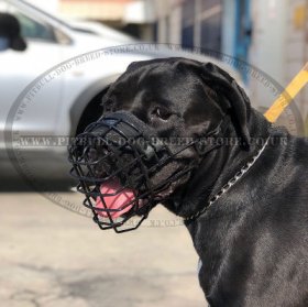 Bestseller! Antifreeze Staffy Wire Muzzle Covered with Rubber