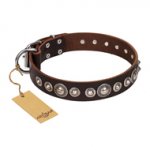 "Step and Sparkle" FDT Artisan Cool Dog Collar of Brown Leather