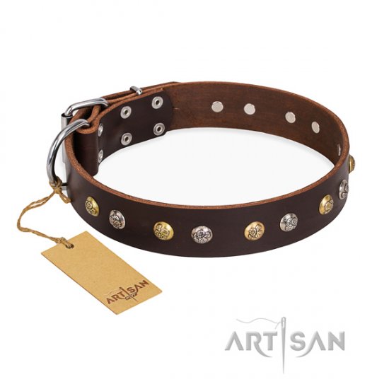 "Rare Flower" FDT Artisan Brown Dog Collar for Staffy Walks