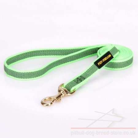 Leash for Pitbull of Green Nylon with Non-Slipping Rubber Lines