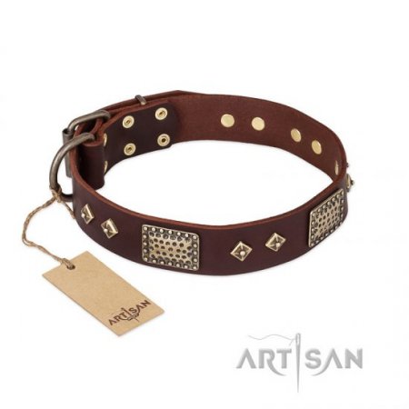 Bestseller! Pitbull Training Leather Collar of Extra Durability