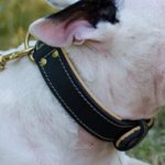 Padded Leather Dog Collar for Bull Terrier, Soft Nappa Lined