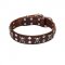 FDT Artisan Rock 'n' Roll Style Skull and Crossbones Dog Collar