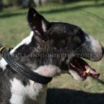 Leather Choke Collar with Braided Decor for English Bull Terrier