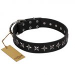 Designer Pitbull Dog Collar "Lights-out" FDT Artisan