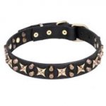 Dog Collar for Pitbull, Staffy of Leather with Stars and Cones