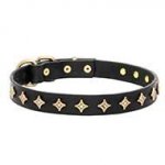 Narrow Width Dog Collar of Leather with "Gold Stars"