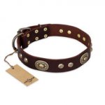 Staffordshire Leather Collar "Breath of Elegance" FDT Artisan