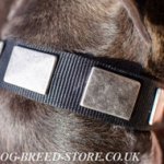 Pitbull Collar of Nylon with Wide Nickel Plates for Everyday Use