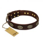 Dog Collar for Pitbull "Chocolate Kiss" FDT Artisan