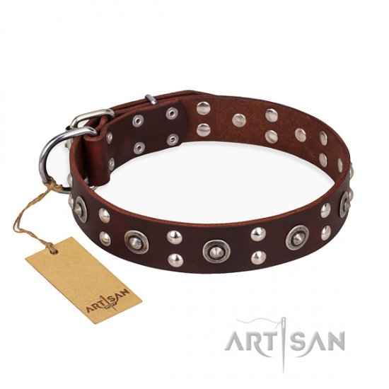 "Pirate Treasure" FDT Artisan Studded Dog Collar in Brown