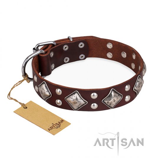 "King of Grace" FDT Artisan Brown Dog Collar with Diamonds