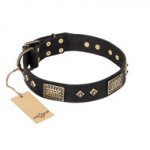 Leather Pitbull Collar "Jewel Passion" FDT Artisan