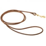 Dog Show Lead or Round Leather - 1/5 Inch Wide