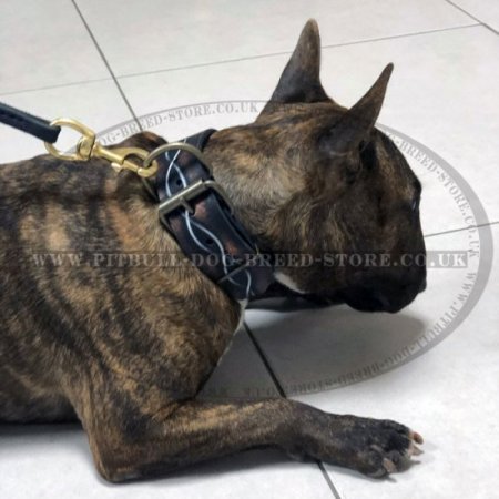 Unique Dog Collar with "Barbed Wire" Painting for Bull Terrier