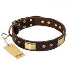 Pitbull Leather Dog Collar "Rich Fashion" FDT Artisan