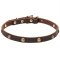 Thin Dog Collar of Cute Vintage Design