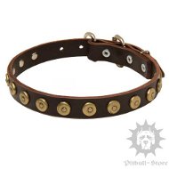 Stylish Dog Collar with Studded Decoration for Amstaff