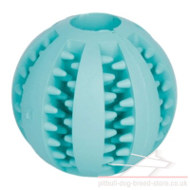 Dental Care Dog Toy with Menthol Flavour for Training