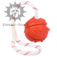 dental care dog ball on rope