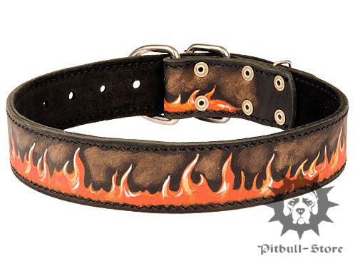 Flame Designer Dog Collar 