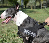 Stop Your Dog Pulling with Dog Training Harness for Bullterrier!