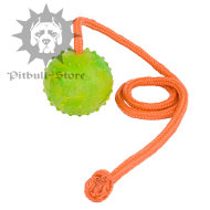 Dog Ball on
Rope