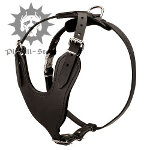 Small-medium breeds
leather Pitbull harness