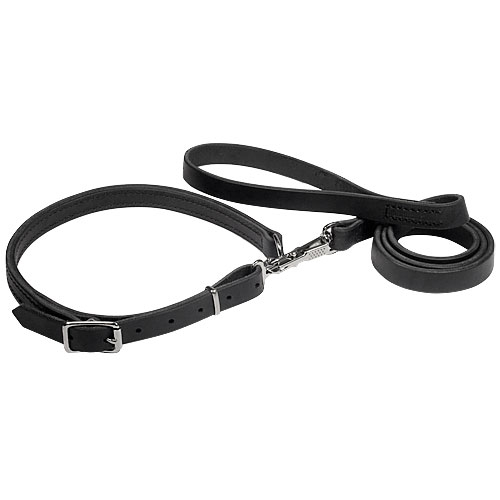 Leash with a Choke Collar