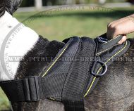 Nylon Dog Harness with Handle