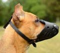 Pit Bull Dog Muzzle