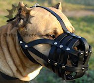 Royal Padded Leather Super Ventilation Pitbull Muzzle