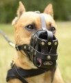 Pitbull Muzzle for Pit
Bull, Leather Pit Bull Muzzle