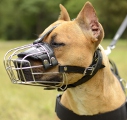 Pitbull Dog Muzzle