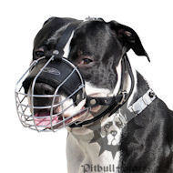 Wire
Dog Muzzle for Pitbull and Staffy, Perfectly
Ventilated